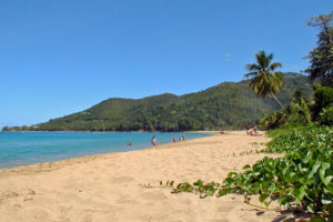 Guadeloupe Une des plus belles plages de la Basse-Terre (Guadeloupe).
Longue de plus de 1 kilomètre, la plage est bordée de cocotiers et de raisiniers.